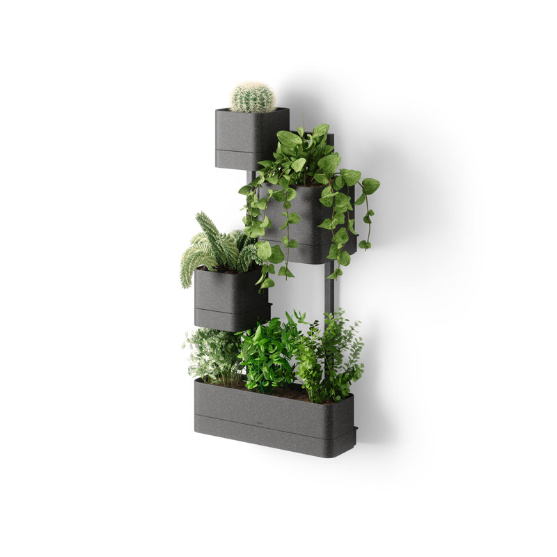Polard Planter