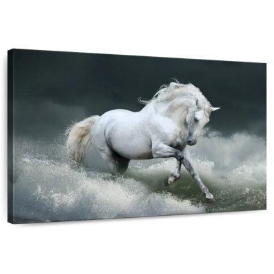 Cheval blanc Brampt