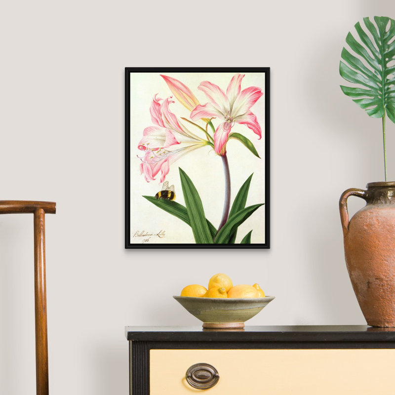 «Lilium Belladonna and Bee, 1786» par Matilda Conyer, reproduction sur toile, H 22 po x l 18 po x P 1,75 po, Cadre noir