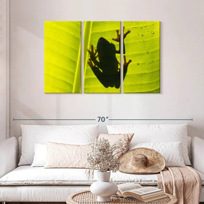 Frog On Leaf