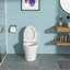 Toilette une pièce en céramique