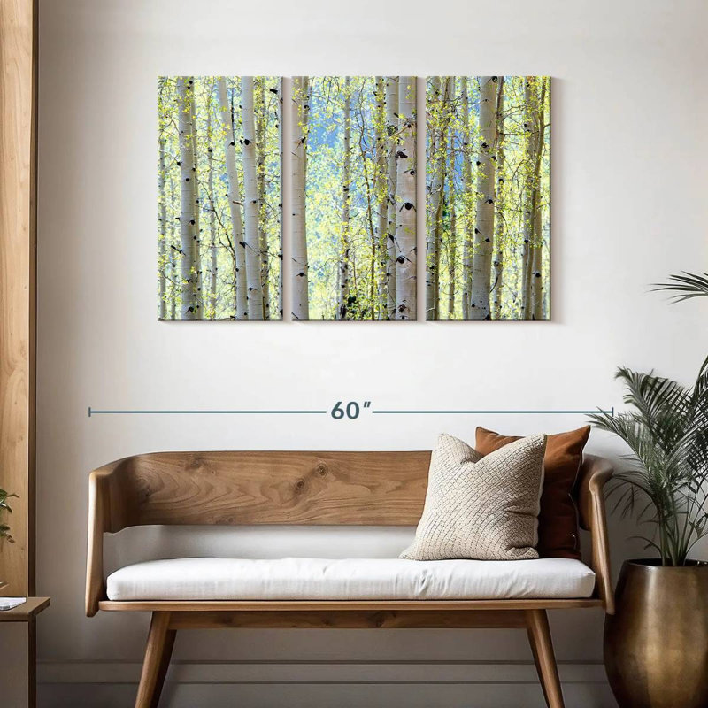 Harnek Aspens, H 28 po x l 45 po