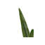 110cm Faux Flowering Plant in Pot