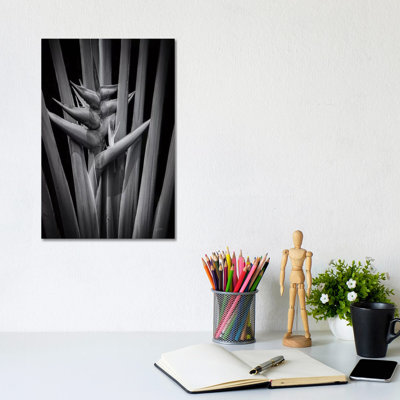 Tropical I by Aledanda - Wrapped Canvas Print