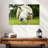 Brampt Nosy Sheep-108869380