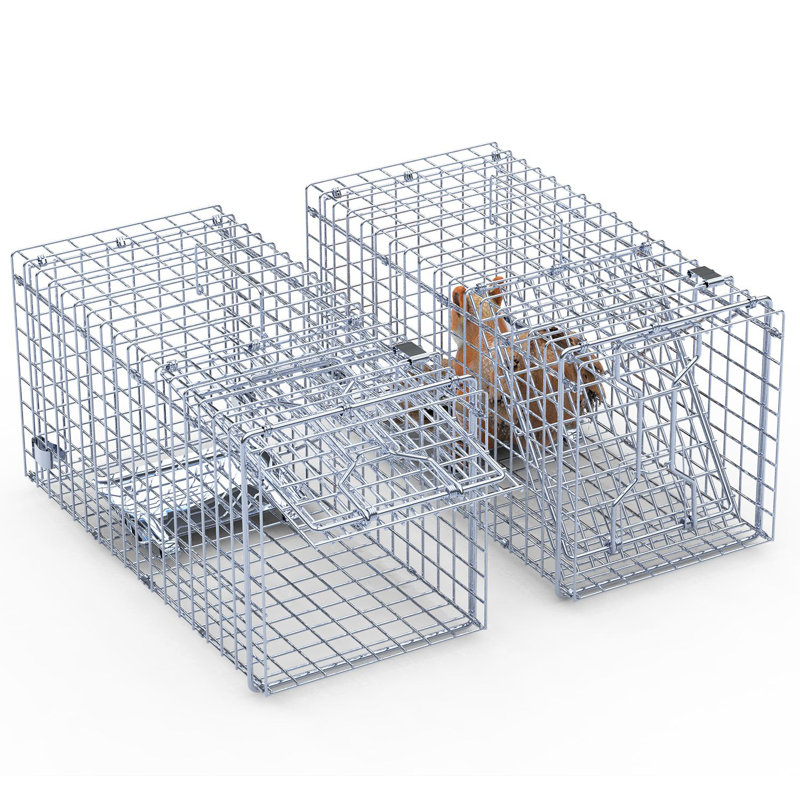 Cage à piège 18 po x 8 po x 10 po Humane