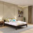 Rikus Platform Bed-144672364-229981827
