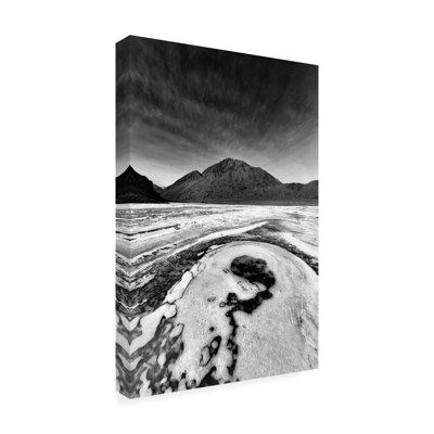 Jassi Oberai  Frozen Art Canvas Art