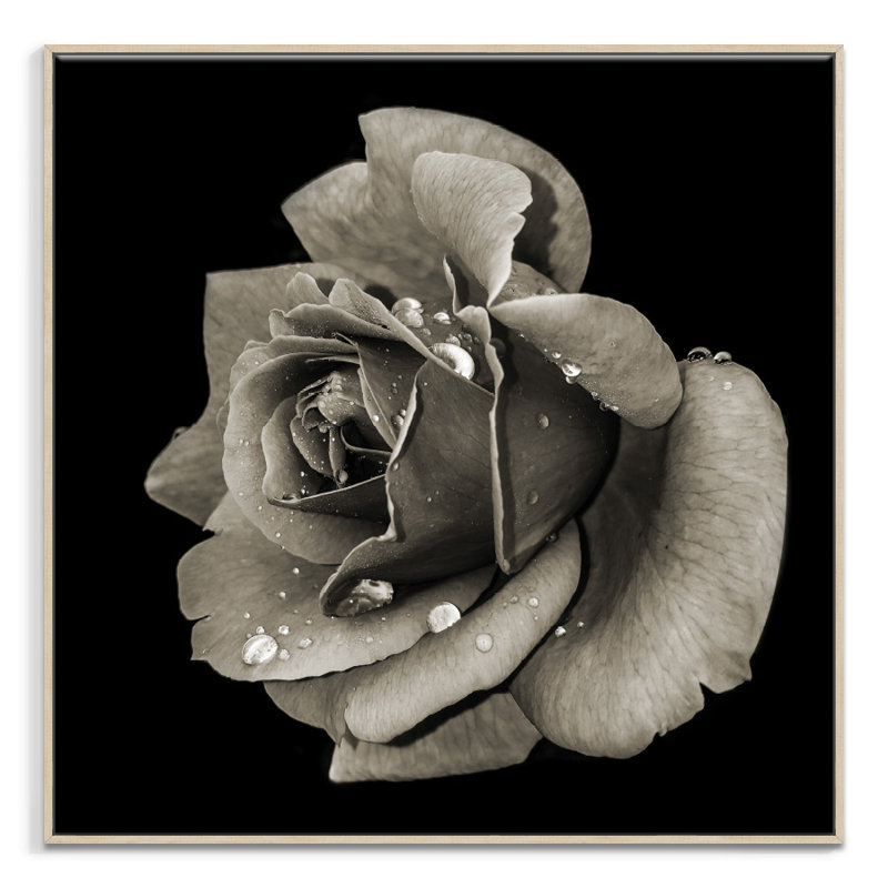 Print on Canvas, Wrapped Canvas, 41cm H x 41cm W