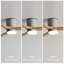 Ventilateurs de plafond avec lumières à intensité variable et télécommande-763998551-763998548-763998549