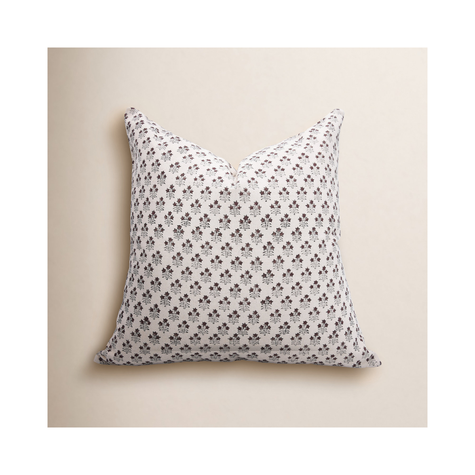 Levert Cotton Indoor/Outdoor Pillow Cover, 24" x 24"
