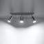 Ceiling Spotlight