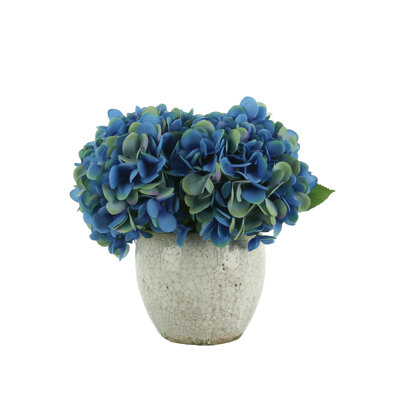 Hydrangea In Rustic Pot