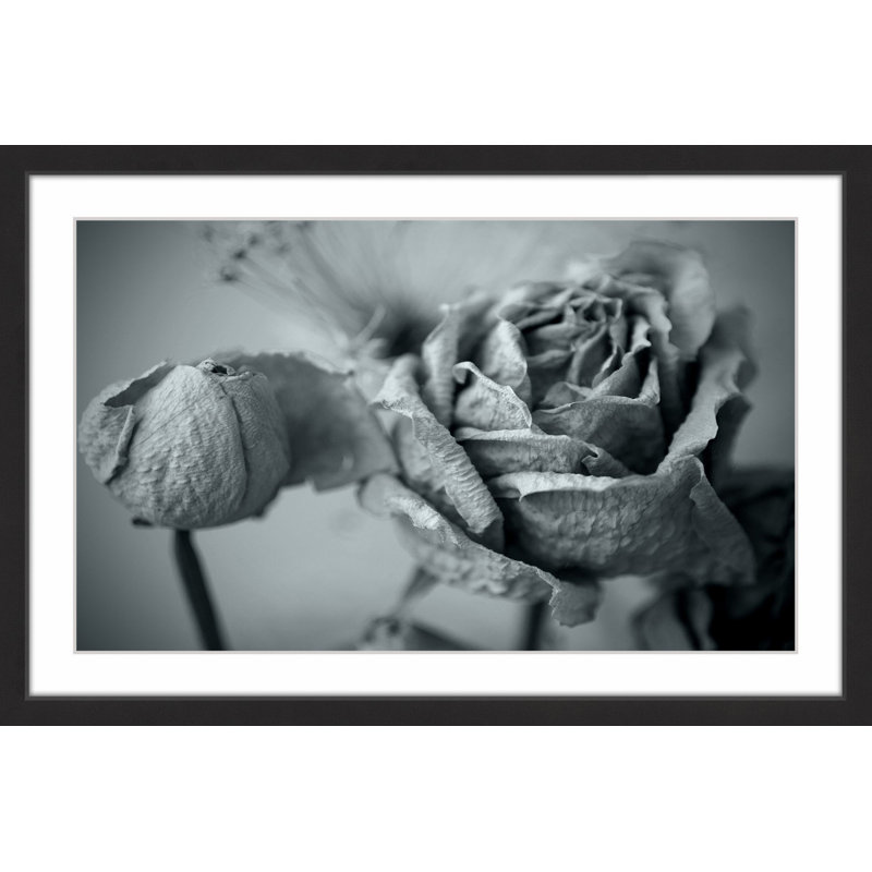 Judy Stalus - Single Picture Frame Print, 61cm H x 91cm W x 3.81cm D