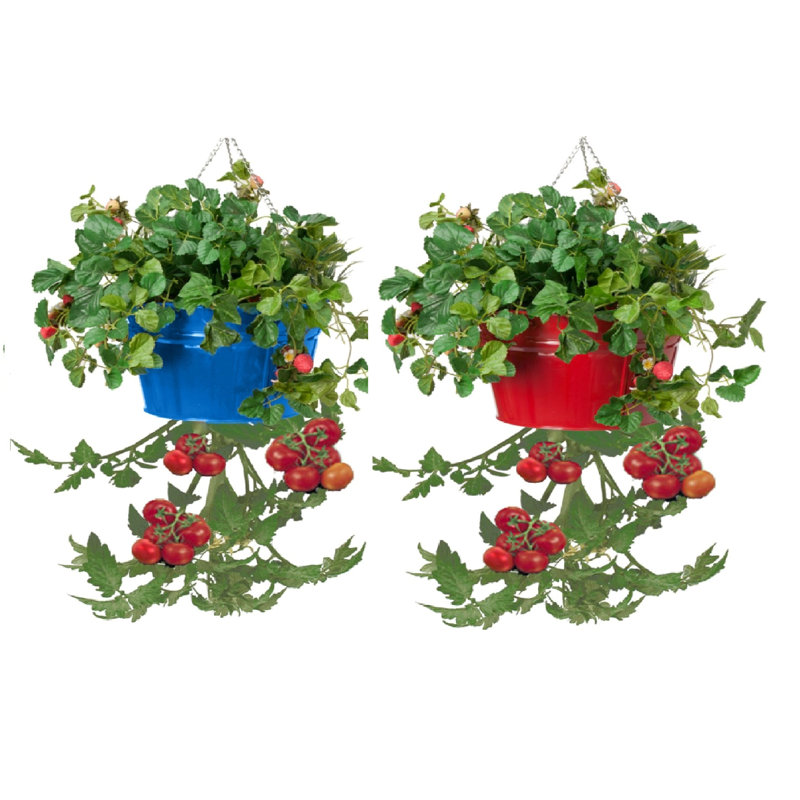 Pot à fleurs suspendu en métal Christianne, Bleu/rouge