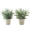 Lot de 2 plantes artificielles d'eucalyptus de 33 cm (13 pouces), fausse verdure de table en pots blancs pour la décoration intérieure-1043385799
