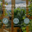 6 ft. W x 3 ft. D Cedar Garden in a Box