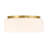 Edgemont 4-Light Ceiling Light in Brass-1005118396