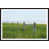 Glass Frame is unavailable