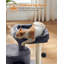 47cm H Cat Tree-118093564