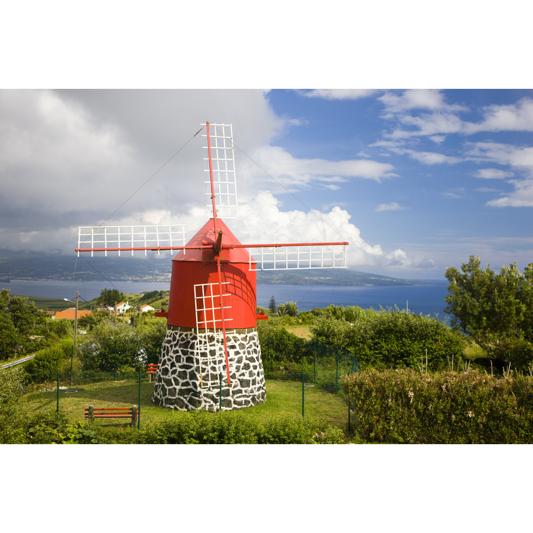 Bunte Windmühle von Mlenny - Druck auf Leinwand ohne Rahmen