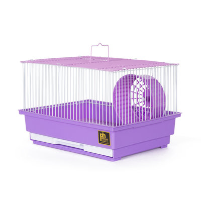 Cage pour petits animaux Kalish