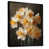 Black Floater Framed
