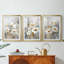 FLORAL Series CDxxv - impression encadrée sur mesure de qualité supérieure - 3 pièces-1803509938-1803510092