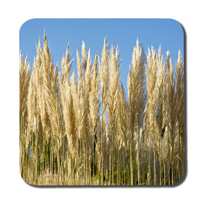 Drager Square 6 Piece Coaster Set