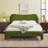 Sitarski Modern Curved Upholstered Bed-428286759-428286753