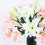Tige de lily real touch-25518706-40025480