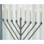Menorah for Synagogue-804480682