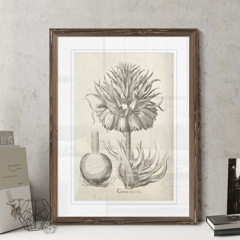 «Fresco Crown Imperial II» par Paul Cezanne - reproduction d'art, H 32 po x l 44 po x 1,25 po, Papier avec encadré espresso