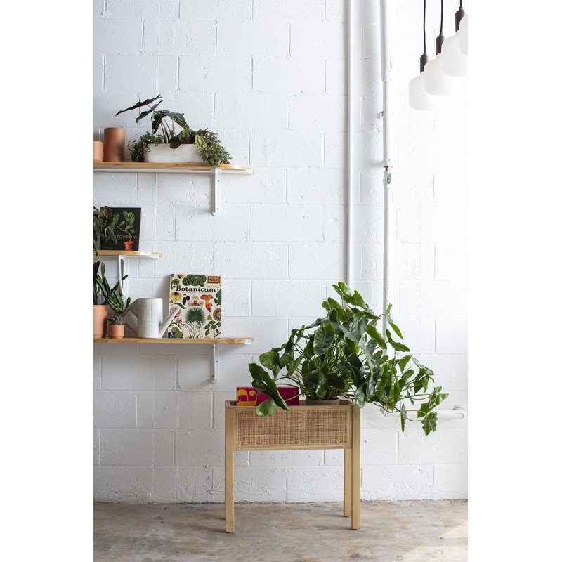 Carrara Handmade Elevated Planter