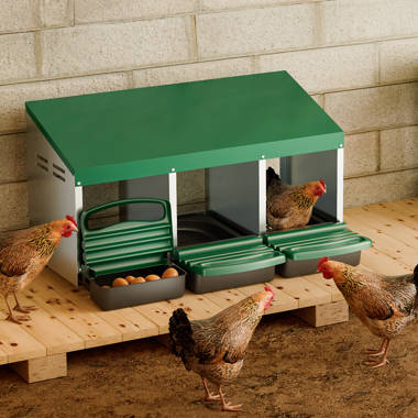 Homestead Essentials Reverse Roll Out Nesting Box - 3 Compartment W/ Wooden  Perch & Reviews