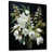 Black Floater Framed