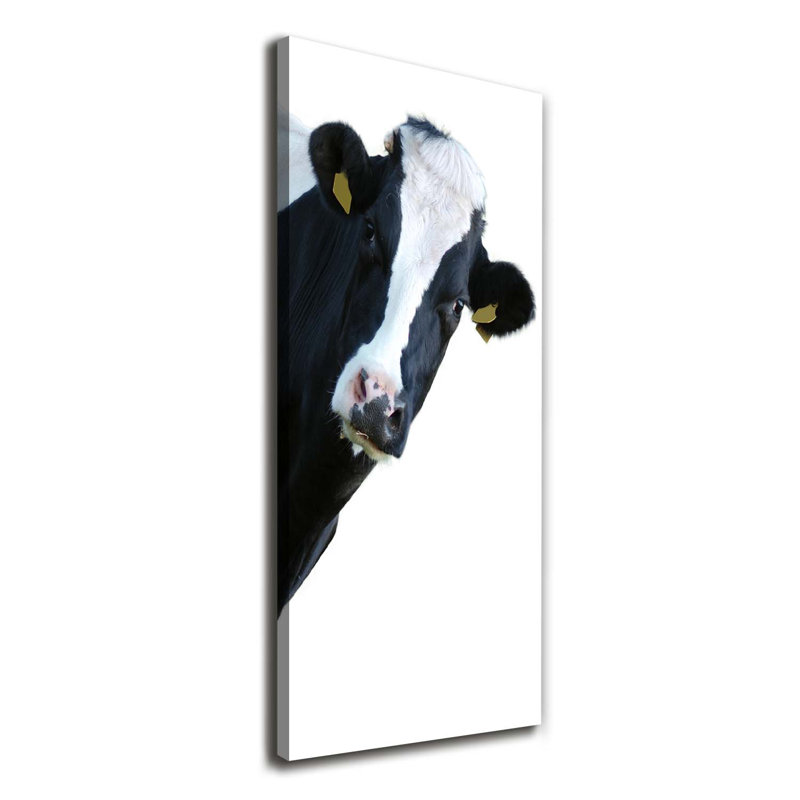 A Bred Cow - Wrapped Canvas Print