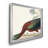 Glossy Ibis - Matted and Framed Under Acrylic Glass, Large Living Room Wall Art-1478155943-1478155940