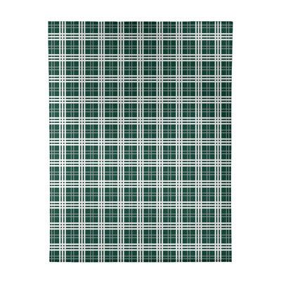 Plaid Indoor Rug