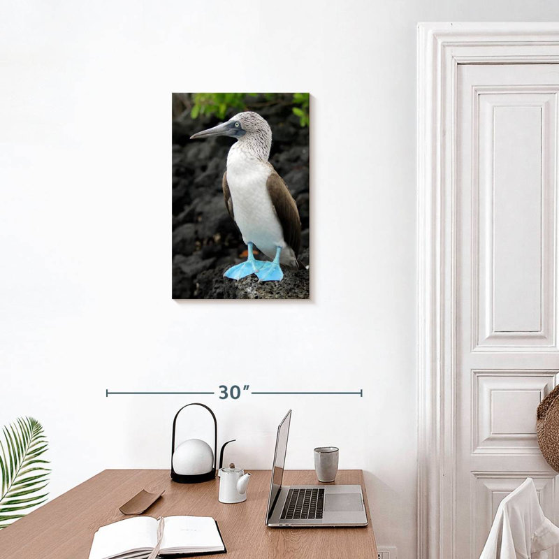 Brampt Blue-Footed Booby Birds, 24" H x 16" W