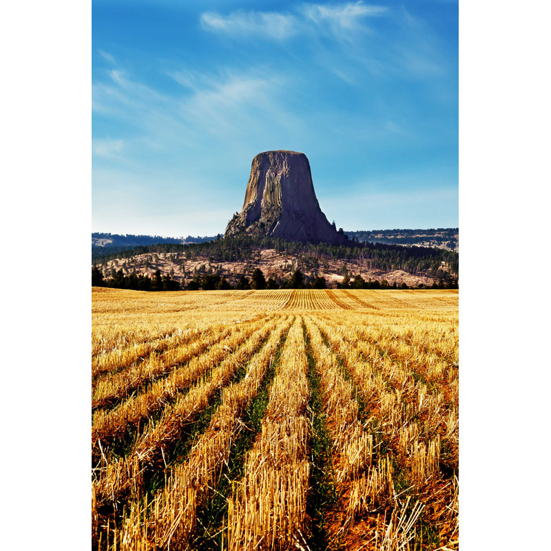 Devil's Tower - Photographie sur toile tendue, H 18 po x l 12 po