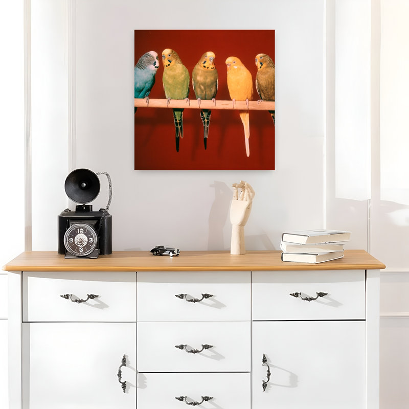 1970S Group Of Five Pet Parakeets Perched Against Red Background Classic Retro Vintage Bird Wall Art, H 18 po x l 18 po