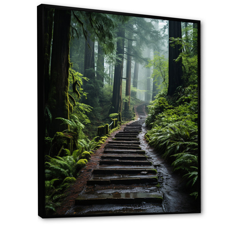 «USA Muir Woods National Monument I», reproduction d'art sur toile, H 32 po x l 24 po x P 1 po, Cadre flottant noir