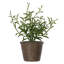 Ensemble de 3 plantes artificielles en pot