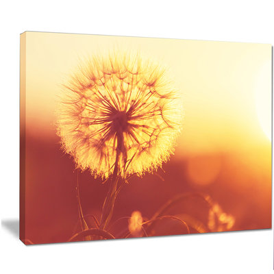 « fleur pissenlit fleur on brown », reproduction de photo sur toile tendue