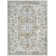 Hewson Oriental Indoor Rug
