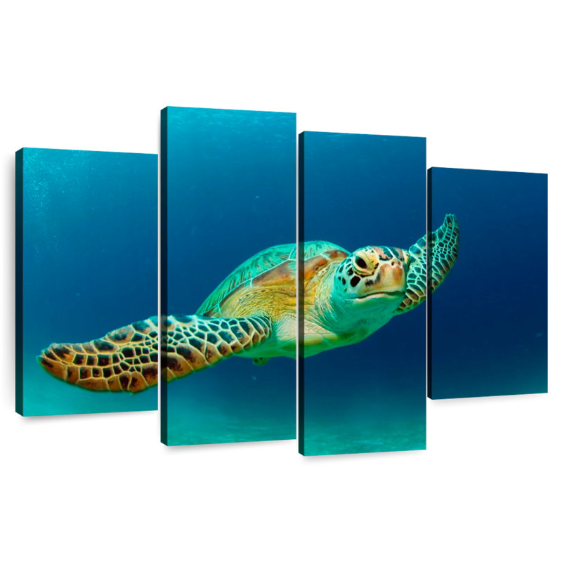 Brampt Philippine Green Sea Turtle, 42" H x 68" W
