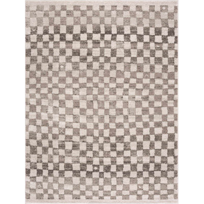 Jasha Checkered Beige/Brown Area Rug