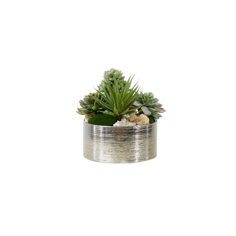 Succulents Arrangement in Silver Etched Bowl