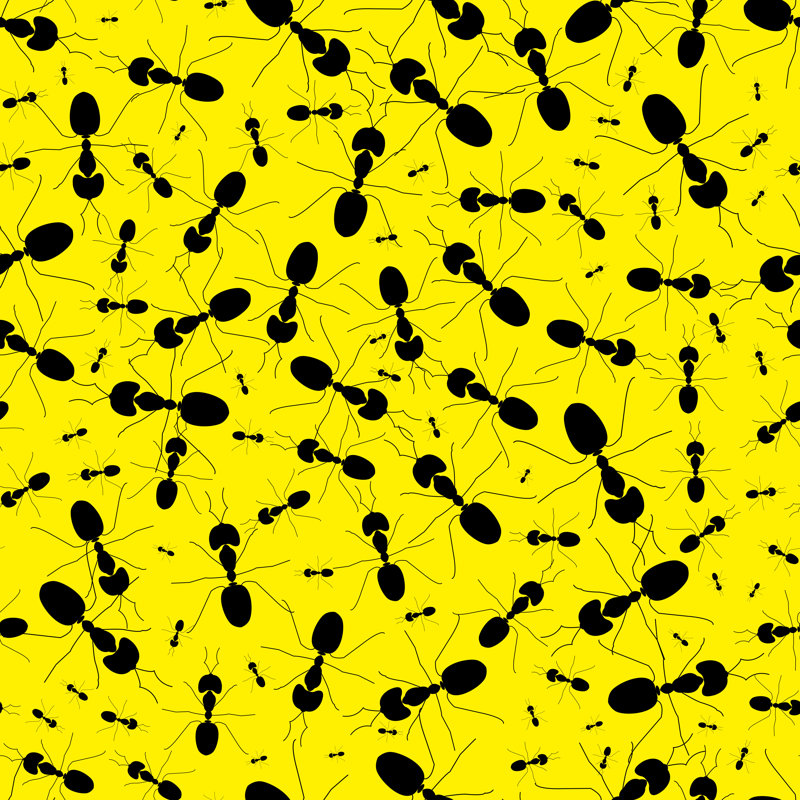 Ants Pattern - Wrapped Canvas Print, 122cm H x 122cm W x 3.8cm D